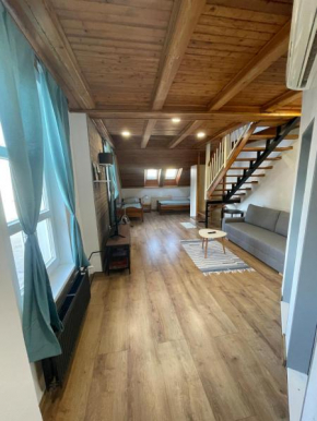 Varady's large apartment with private parking